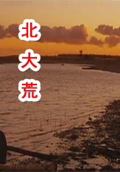 最新毛片网站
